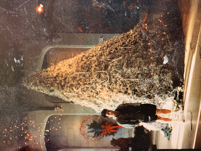 Holiday Installation